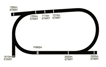 Racecourse image