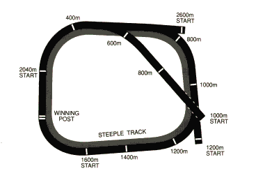 Racecourse image