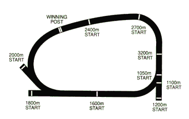 Racecourse image