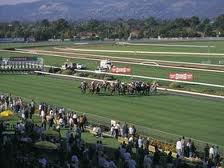 Morphettville Racecourse