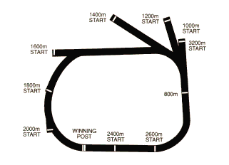 Racecourse image