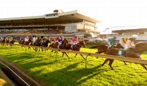 Rosehill Gardens Racecourse