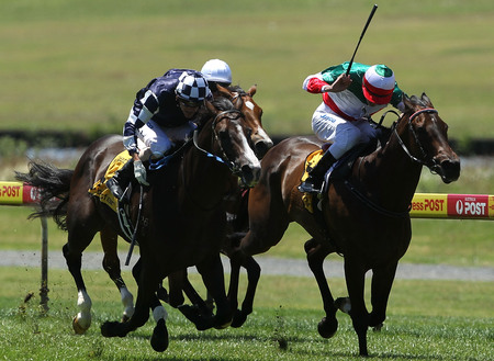 Sandown Hillside Racecourse