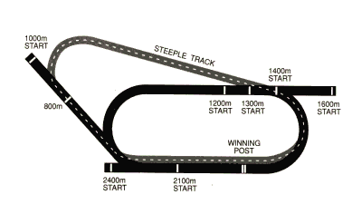 Racecourse image