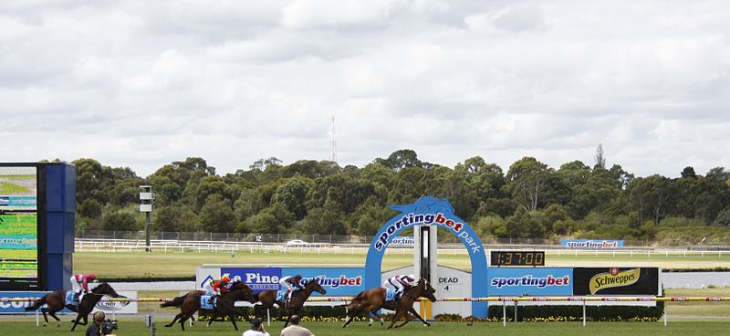 Sandown Lakeside Racecourse