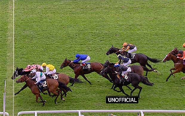 Black Caviar racehorse