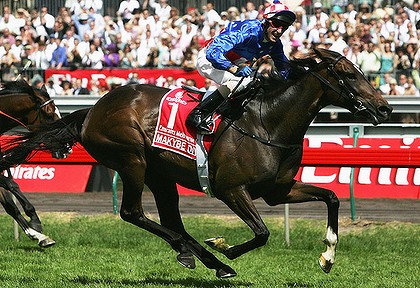 Makybe Diva racehorse