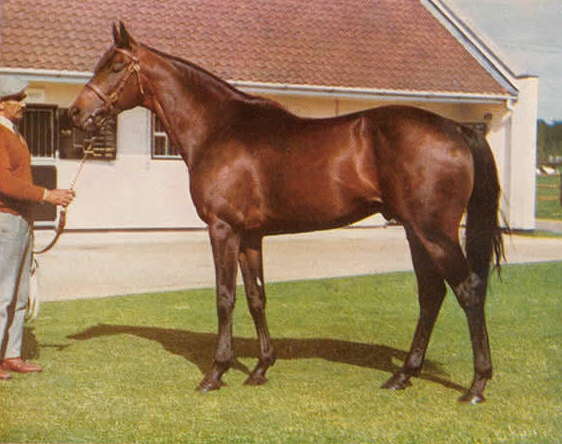 Mill Reef