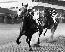 Seabiscuit