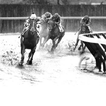 Seattle Slew