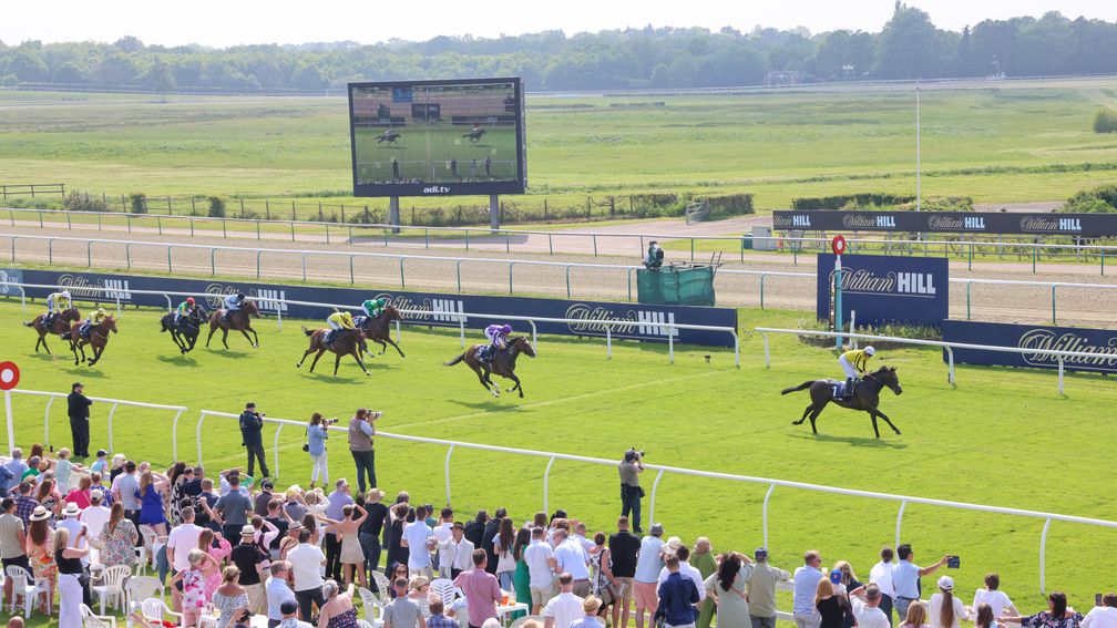 lingfield turf racecourse