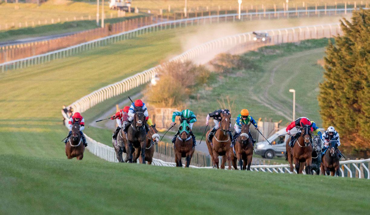brighton racecourse